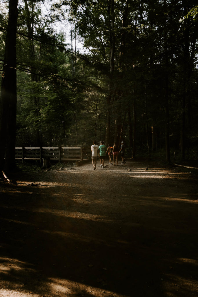 Lifestyle photography of a group of teens hiking in Cades Cove in East TN.
