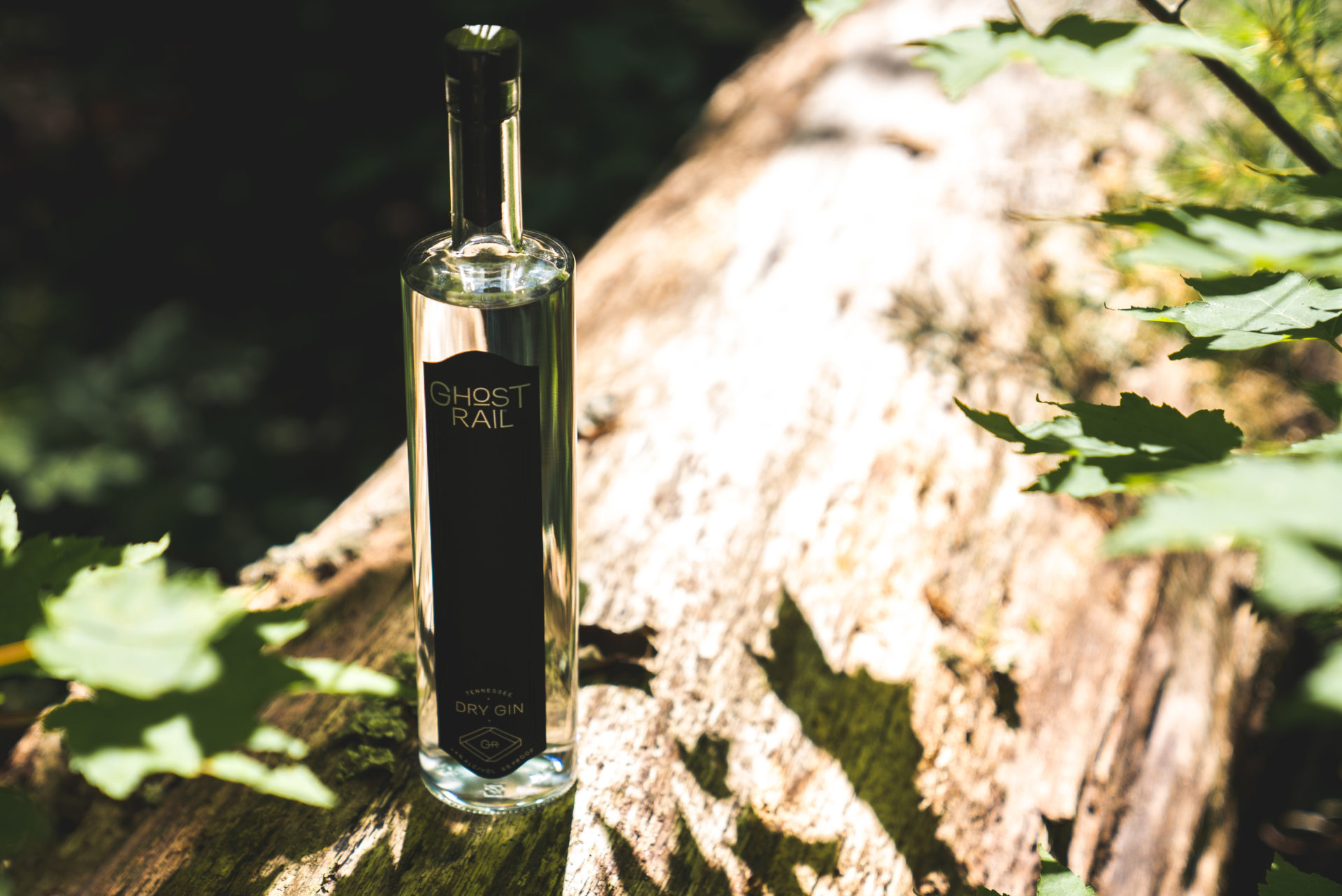 Close-up product photography of Ghost Rail Dry Gin in East Tennessee forest.